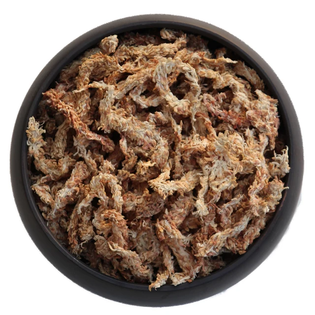 Chilei Importált Vízmoha, Hernyó, Moha, Pillangó, Orchidea, Talajfarnivórusos Növény, Teknős Hibernáció És Hidratáló - Image 4