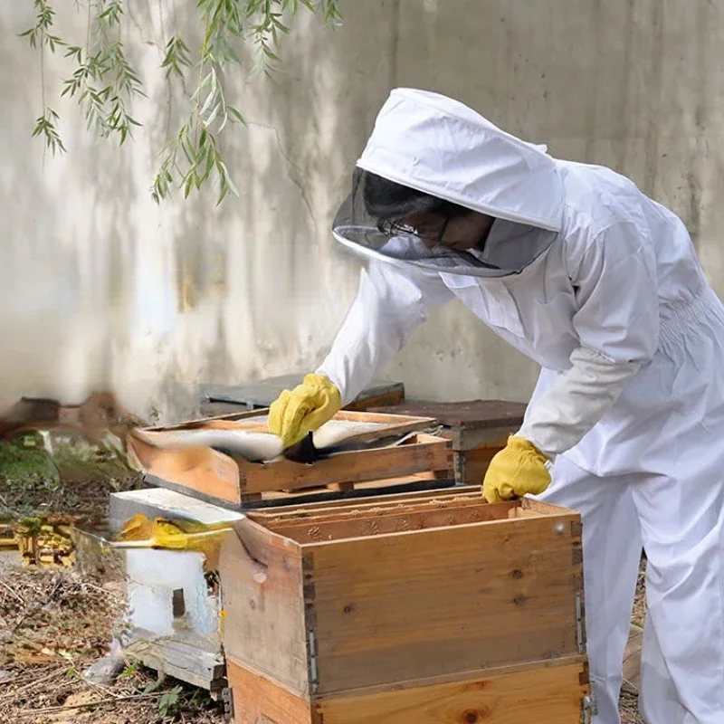 Slide image cf99908b8a854fe2ba81025013332a49