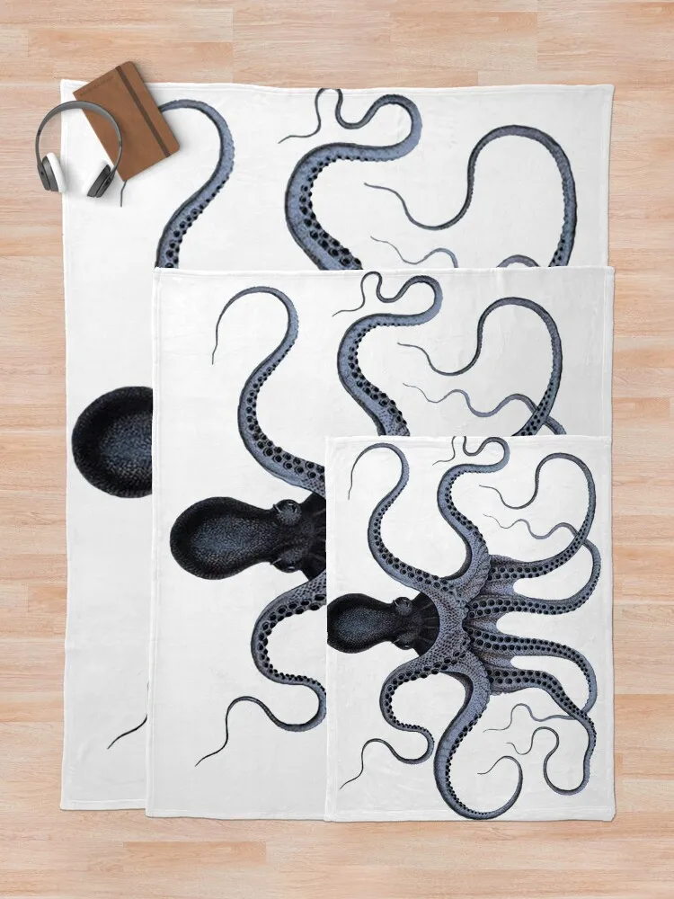 ���� ������ ��� ���� ���