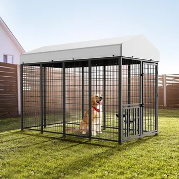 Large Dog Kennel 1