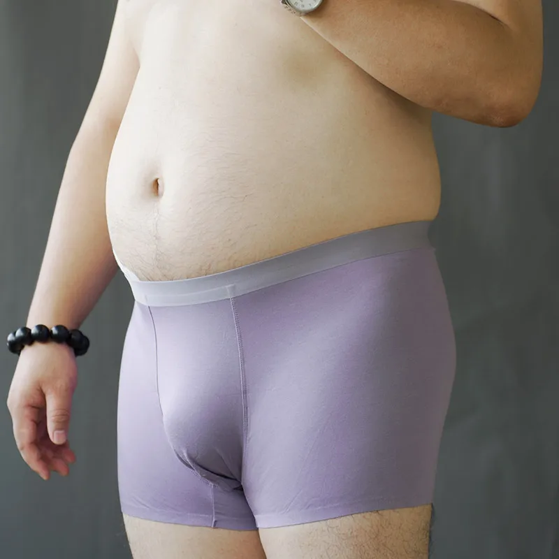 

Men's breathable U-Bulge briefs sexy lingerie Chubby large sizeshorts Underwear See-through Fashion new Underpants