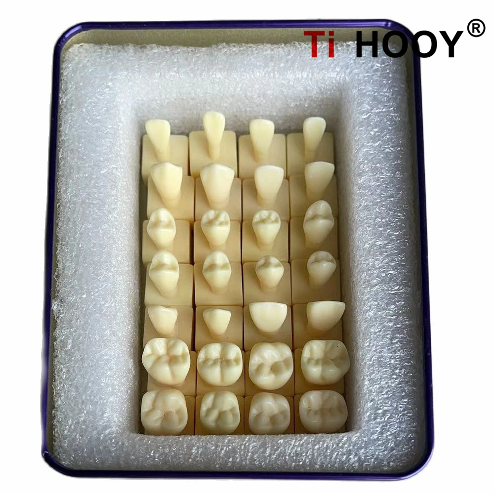 

1set Dentist Dental Students With Tooth Structure And Practice Tooth Carving Teaching Comparison Model Pit And Fissure Caries