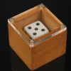 Magic Dice Magic Props Dice Trick Dot Number Change Dice Magic Stage Illusion Props Toys For Kids Adults 1
