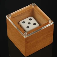 Magic Dice Magic Props Dice Trick Dot Number Change Dice Magic Stage Illusion Props Toys For Kids Adults 1