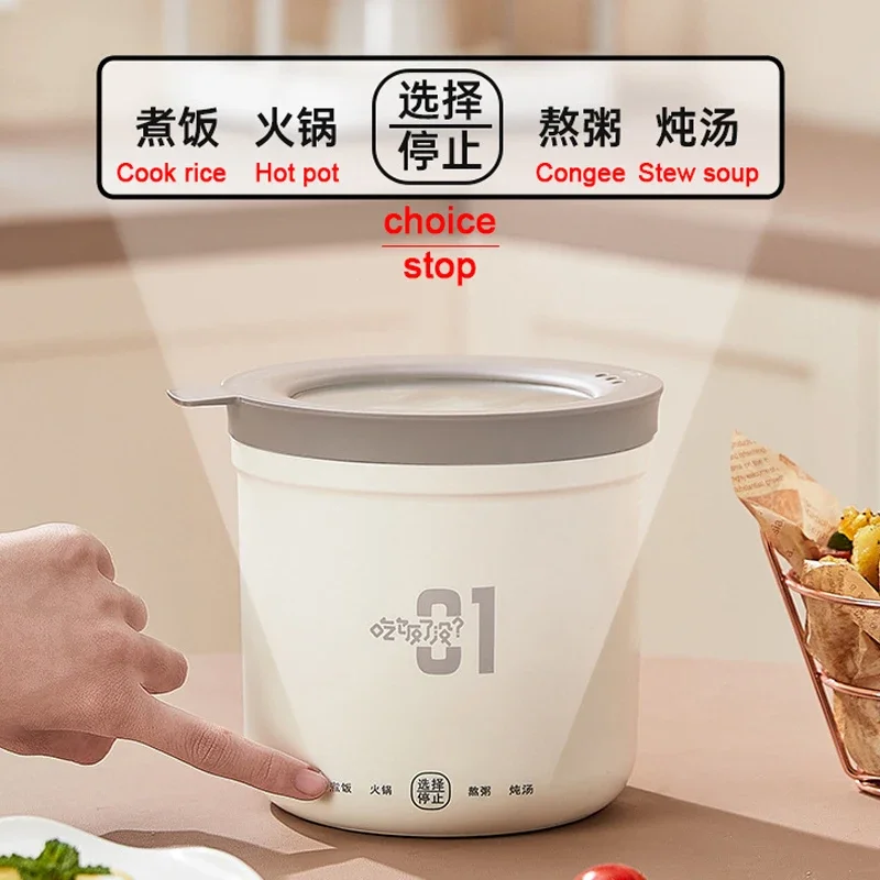 Mini Rice Cooker Multifunction Skillet 1L Noodle Cooking Pot Egg Omelette Frying Pan Hotpot Baby Food Stew Cup Soup Heater