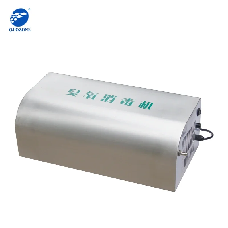 Wall Mounted Ozone Generator 5g For Sterilization And Disinfection