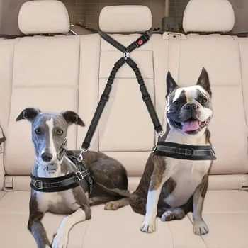 Double Dog Safety Belt Headrest Restraint 1