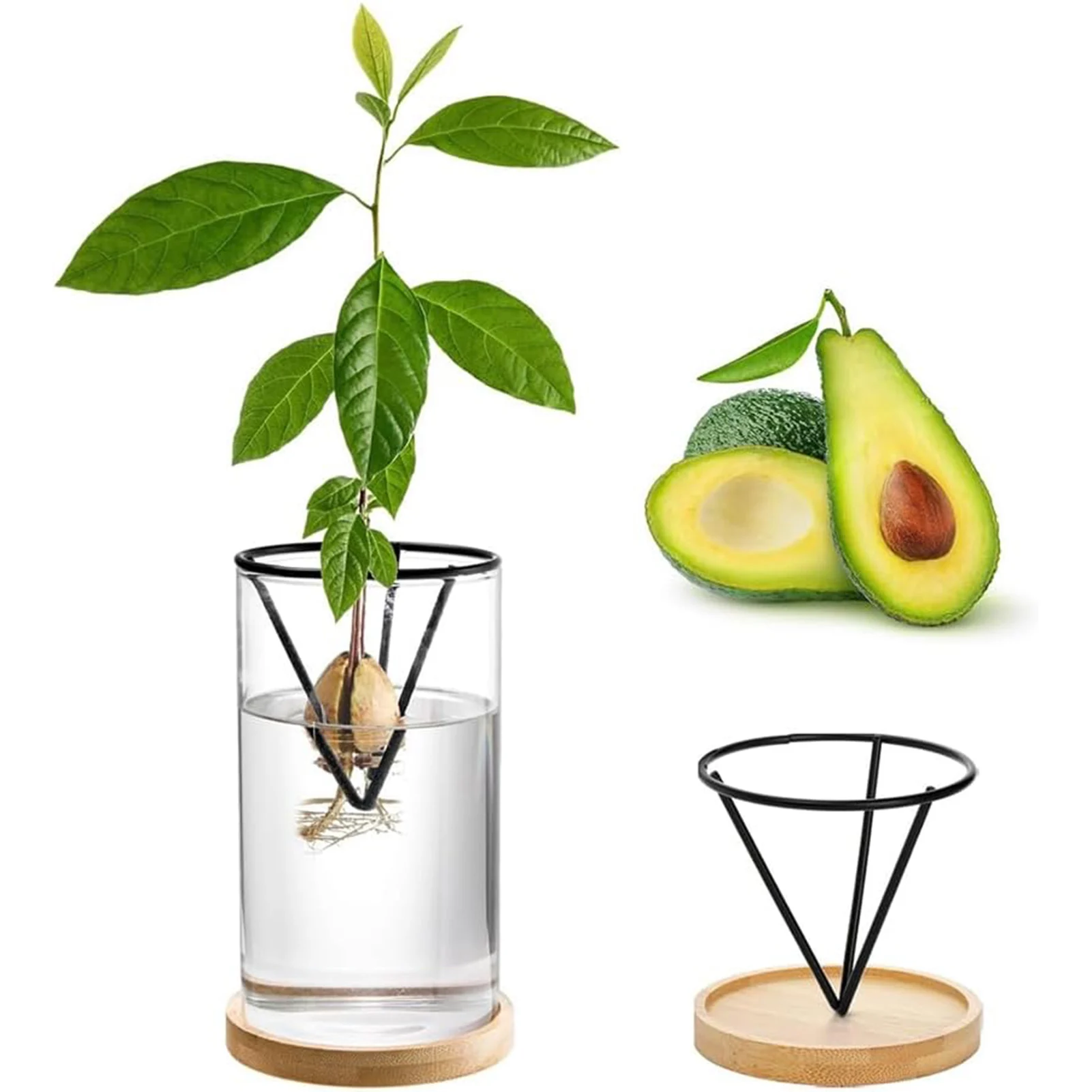 Elegant Glass Vase Propagation Station - Stylish Tabletop Plant Rack