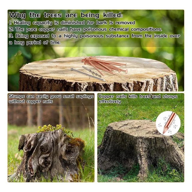 thumbnail image 2 of 24 Pack 3.5 Inch Copper Nails - Pure Copper For Trees, Stumps, Landscaping & DIY Projects 2 of 11