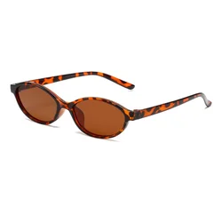 Chic Leopard Brown Retro Women's Sunglasses - 2024 Fashion Highlight (As Picture)