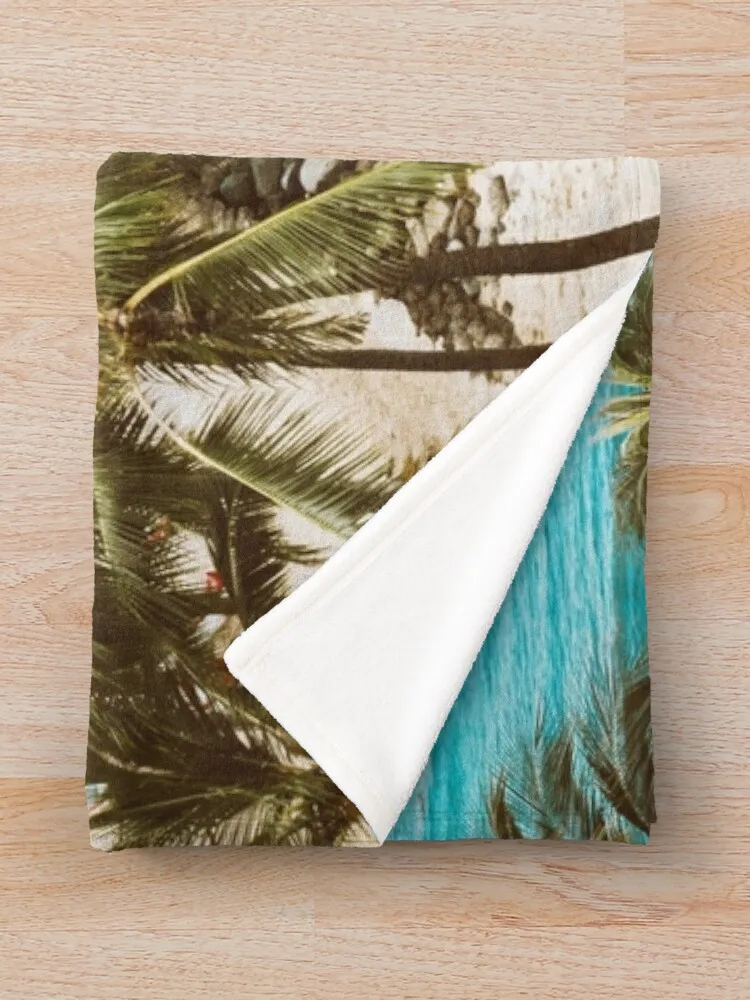 �Ķ���̽� ������ ���, ���� ���, ���� ���