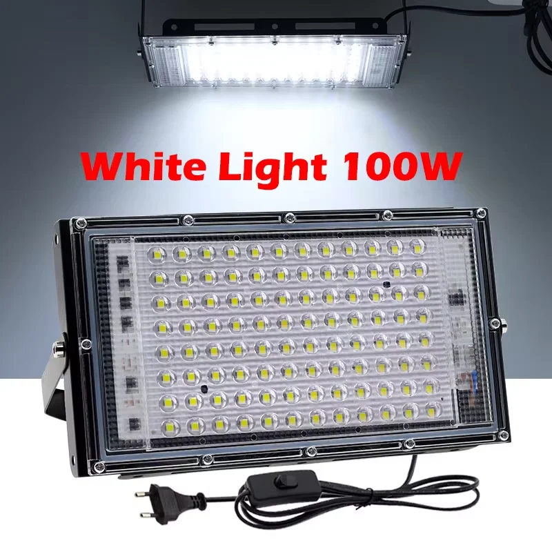 100CW-EU Plug