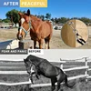 1pcs Stainless Steel Horse Tie Ring Safety Horse Hitching Ring With Easy Clip And Fixed Plate, Durable Equestrian Equipment 2