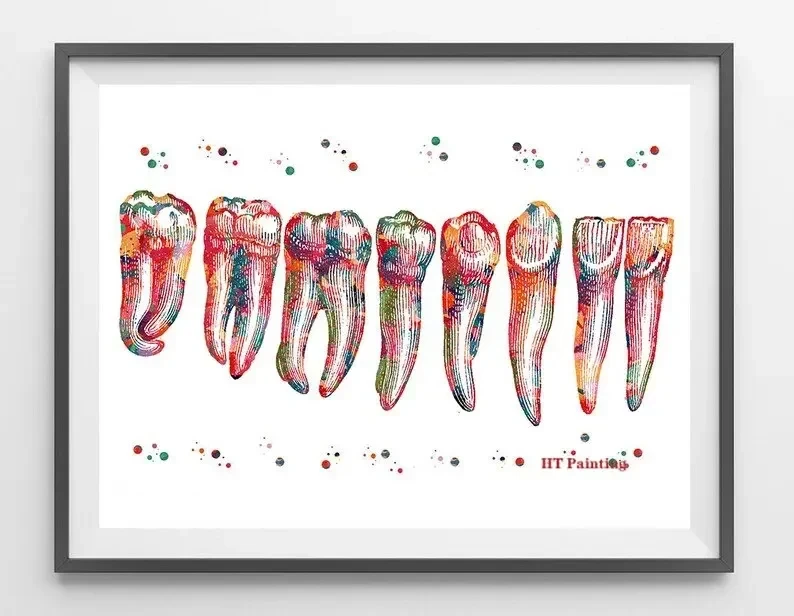 Modern Dental Art - Tooth Implant Anatomy Canvas Poster
