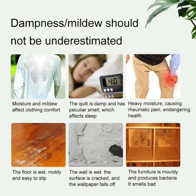 Penészálló Kis Penészgátló Dezodor Nedvességálló Dekumidifikációs Lap Szárítószekrény Háztartási Párhuzamos - Image 6