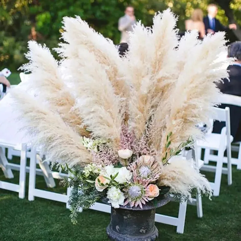 

Wedding Decorations 80cm Large Dry Pampas Grass Dried Flower Reed Boho Home Decor Party Background Natural Pampas Grass