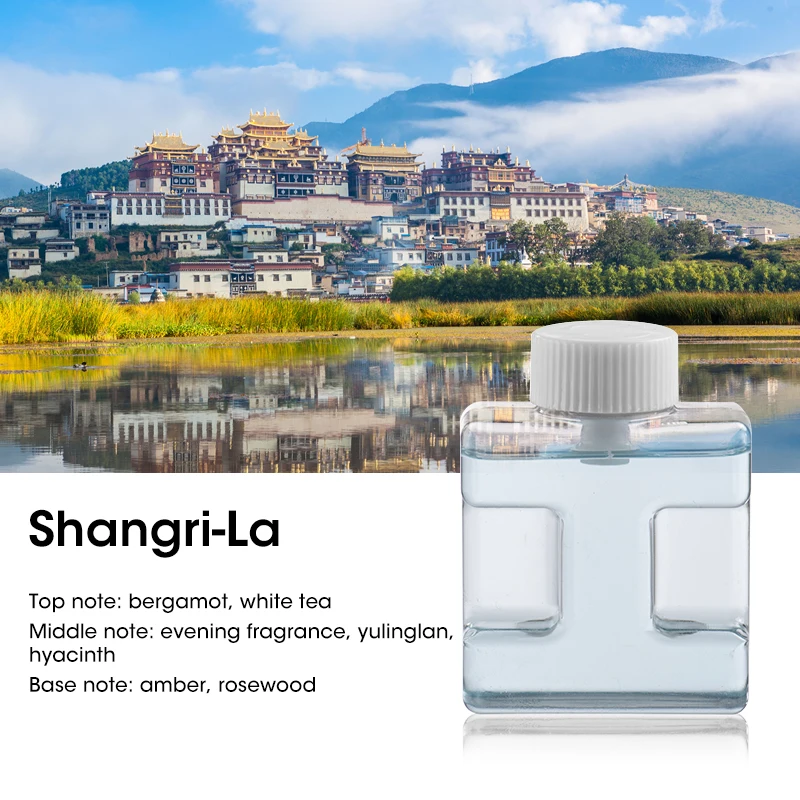 Compact Ultrasonic Aromatherapy Diffuser & Essential Oil Air Purifier (50ml)