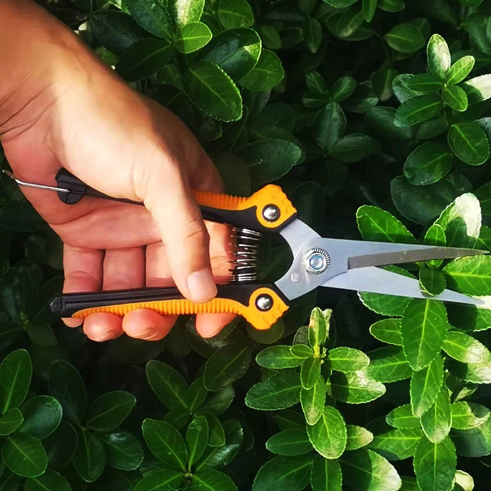 Pruning Scissors Straight Stainless Steel Blades Garden Shears Hand Pruner For Garden Fruits Plants