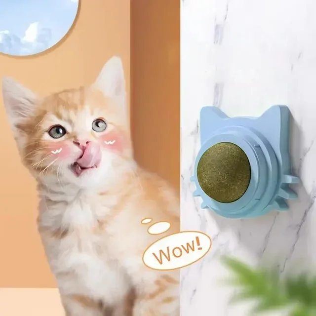Lickable Catnip Balls for Cats 4
