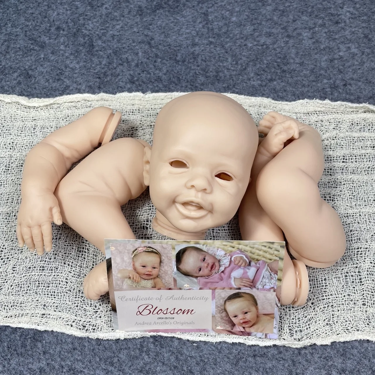 S4d6257a25c33455089f7f4fdd49a6cbaA - Reborn Doll World