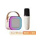 Beige 1 mic