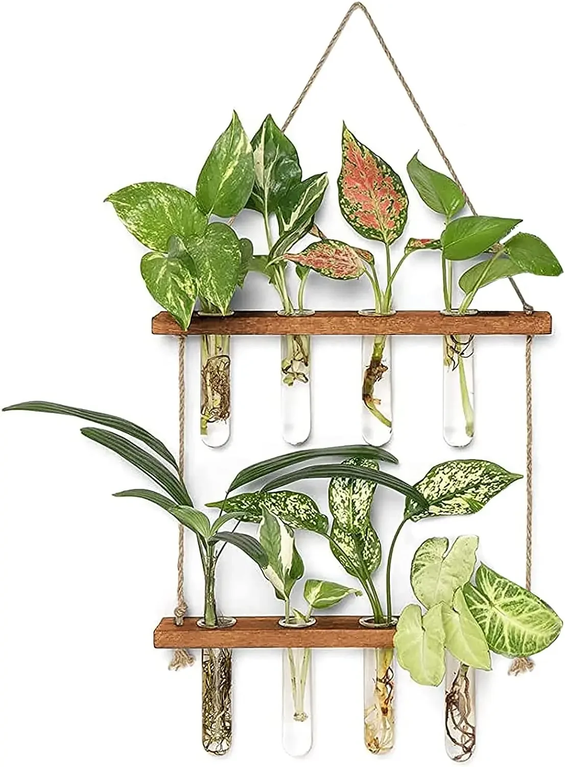 Wall Hanging Test Tube Glass Planter Plant Vase with Wooden Stand & Strings Rope Glass Planter Plant Terrarium (2 Layer)