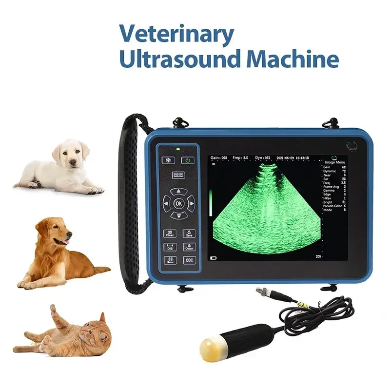 

Veterinary Ultrasound Scanner Portable pregnanc Testing For Cattle Cow Pig Sheep Horse Farm Animals Pet Veterinary B-ultrasound