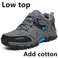 Gray-02 cotton