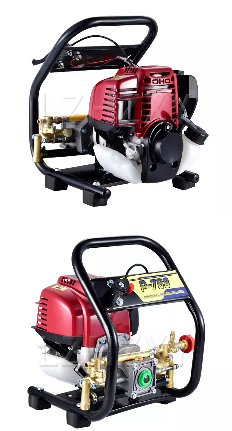 139F/140F Portable Sprayer, High-Pressure Engine-Powered Sprayer, Agricultural S