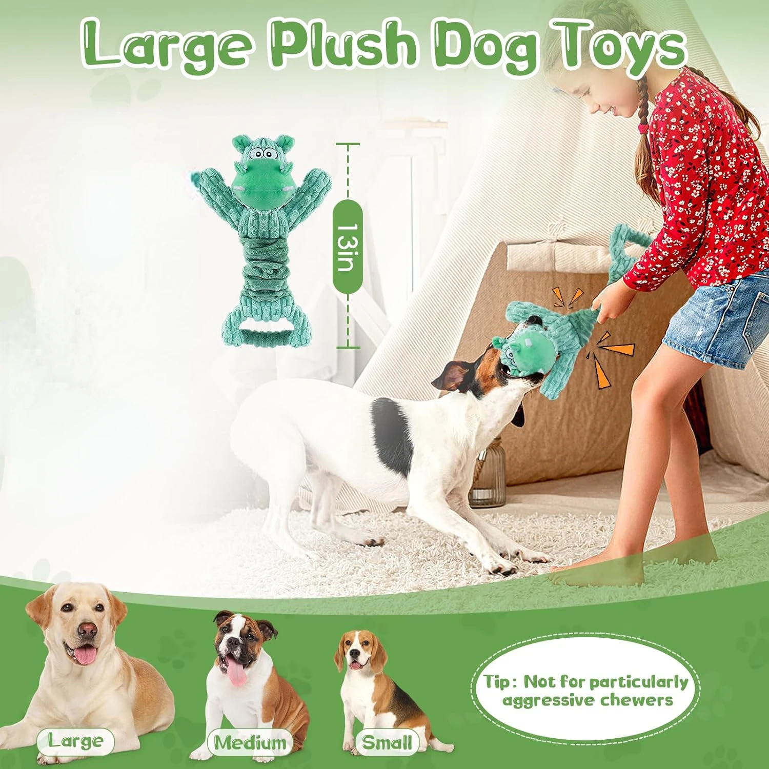 Squeaky Toy for Pets
