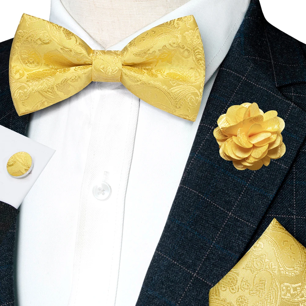 Champagne Silk Jacquard Paisley Bow Tie Set - Pre-tied Bowtie Brooch Hanky  Cufflinks for Weddings  Business
