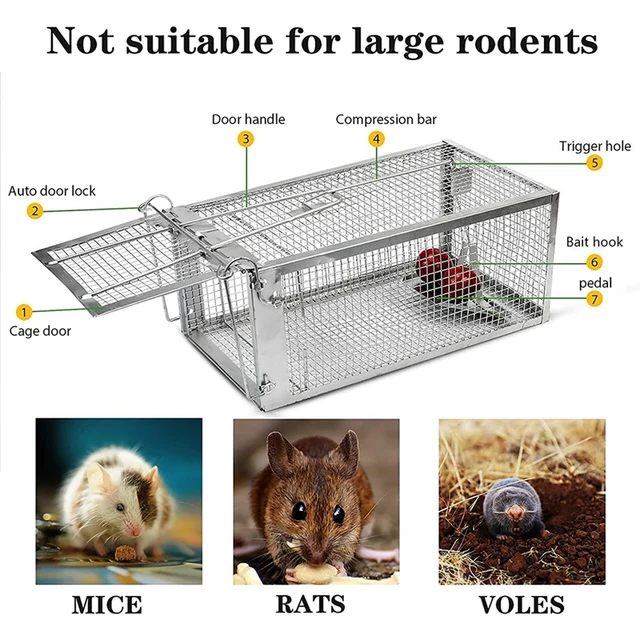Lot de 2 pièges à souris, cages à Rats vivants pour petits animaux, pour  usage domestique et intérieur, pour attraper et libérer les Rats -  AliExpress