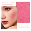 HISYI slightly tipsy blush matte fine flash micro flash natural color makeup pure desire monochrome blush plate 5