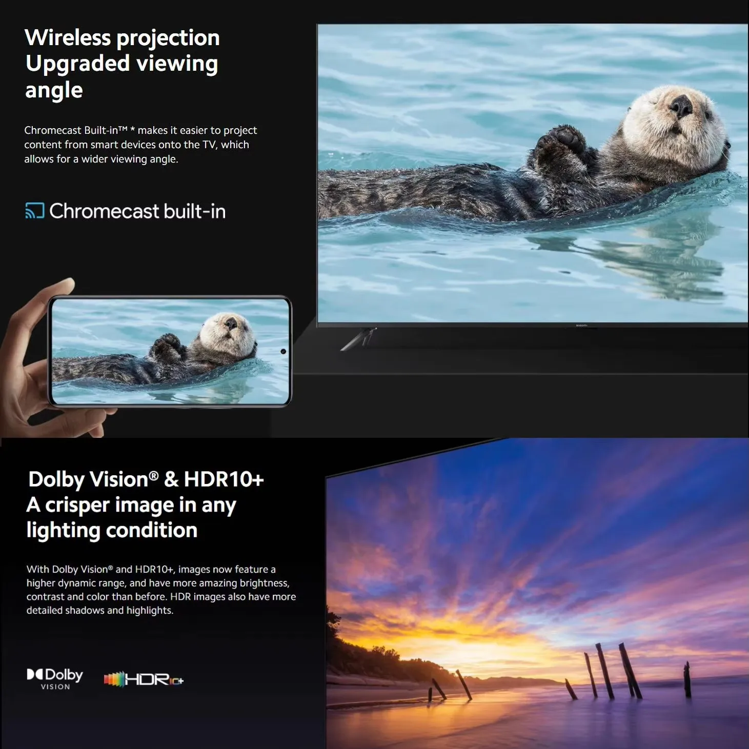 dsc-products