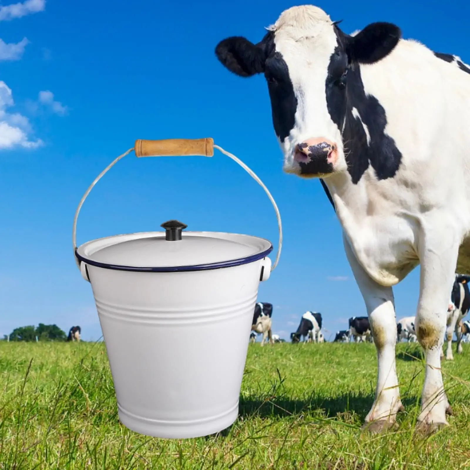 Enamel Water Bucket with Lid 9L Liquid Container Storage Cans for Garden Chilling Water Oil Rice Organizing Outdoor Activities