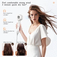 Professinal Leafless Hair Dryer, 110,000 RPM High-Speed Motor, Low Noise, Negative Lon Hair Care Quick Dry for Home Travel 2
