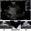 Veterinary Ultrasound Scanner Portable  Pregnancy Testing For Cattle Cow Pig Sheep Horse Farm Animals Pet 3