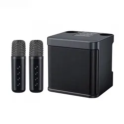 Portable Karaoke Boombox with Dual Wireless Microphones and Voice Changer (Black)