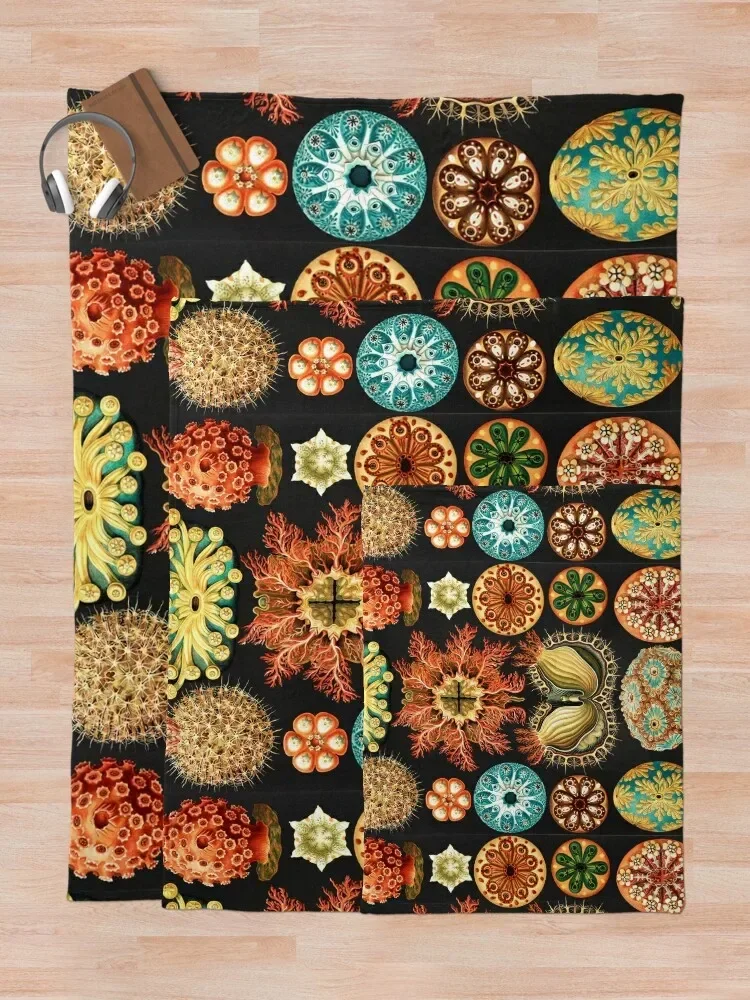 Ernst Haeckel ������ ���, �ҷ��� ����, �����̴� �̺� ���, �ڿ��� ����