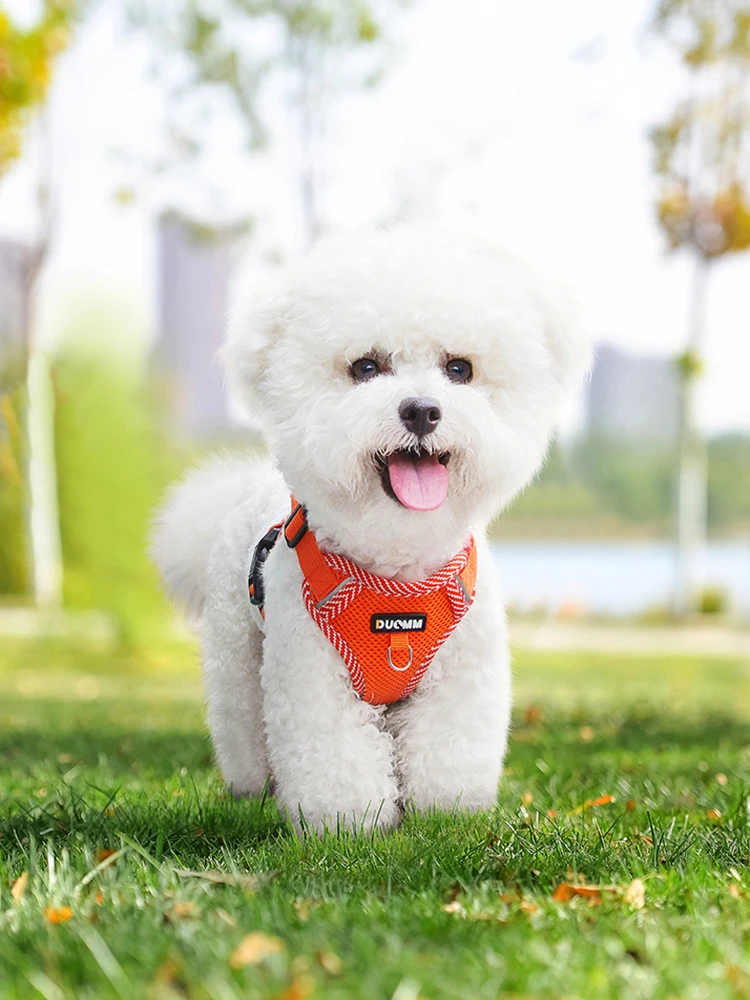 Pet Harness Set Pet Harness Leash Set Pet Leash Set 4-point Adjustment Dog Harness and Leash Set for Small Dogs Reflective Mesh Dog Harness Vest Puppy Cat Chest Strap Pet Supplies