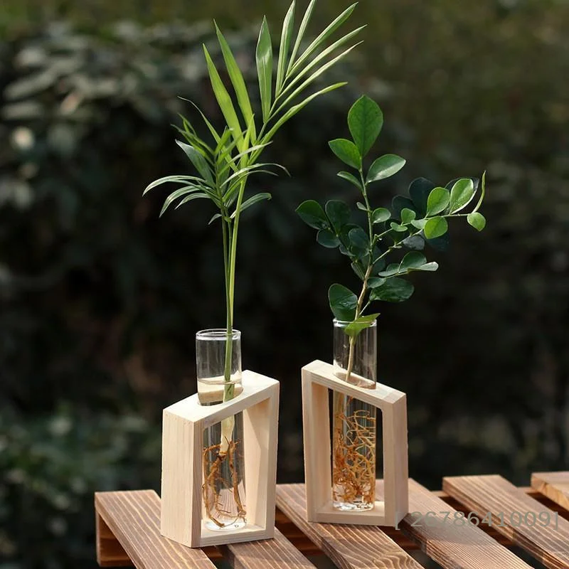 Elegant Glass Test Tube Vase with Wooden Stand for Plant Propagation and Home Decor