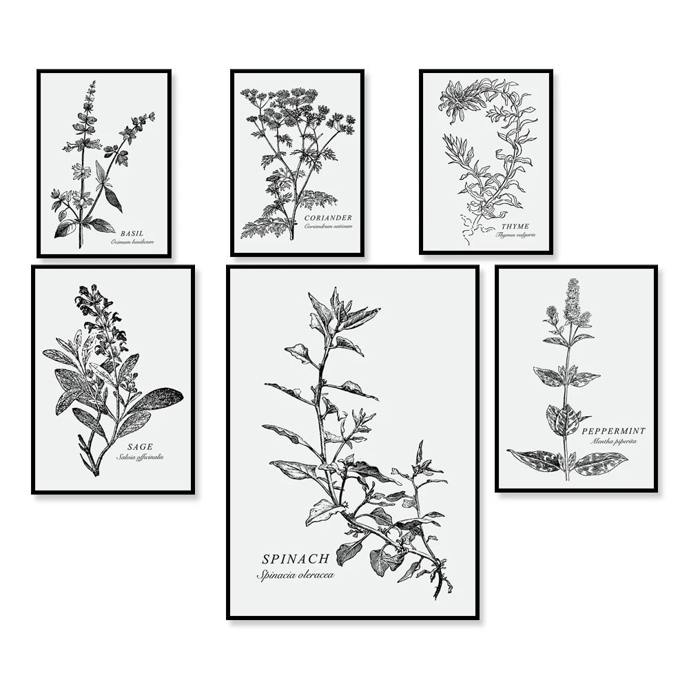 Vintage herbs wreath Sketched aromatic plants border Botanical design Herbal  - stock vector 5456482 | Crushpixel