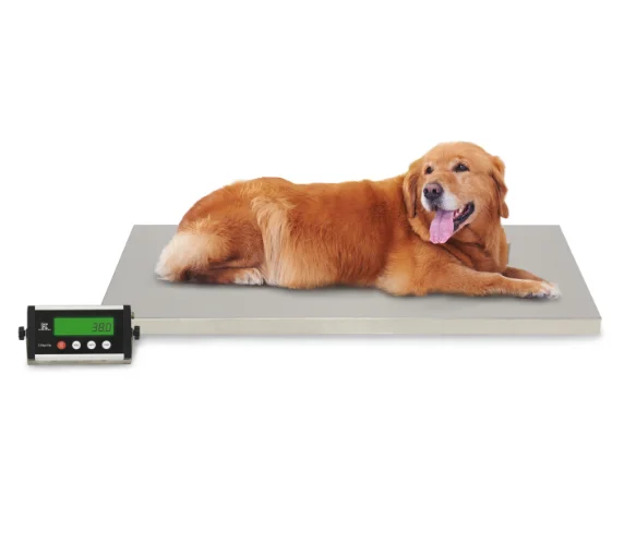 

Aeolus Electronic Walk on Scale for patient