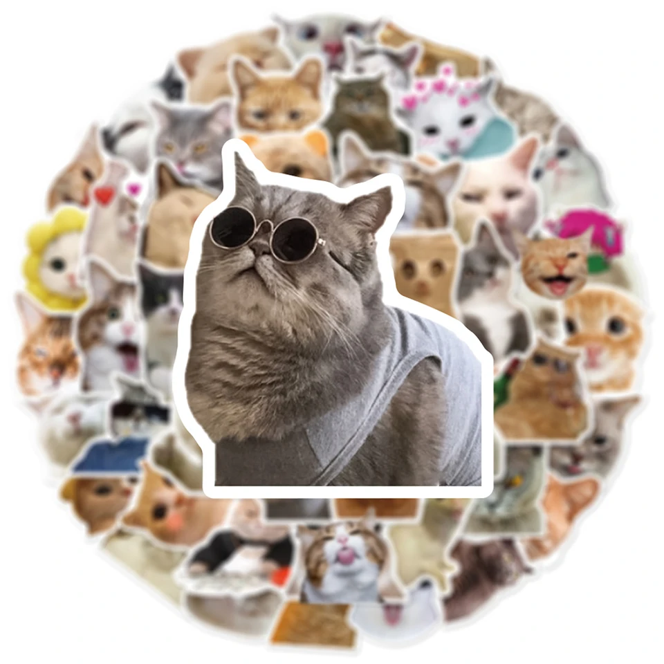 10/30/50pcs Leuke Katten Stickers Grappige Beroemde Kat Meme Cartoon Decal  DIY Notebook Telefoon Telefoon koelkast Fiets Auto Graffiti Sticker  Speelgoed - AliExpress, image size:960x960
