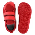 Red-D2509