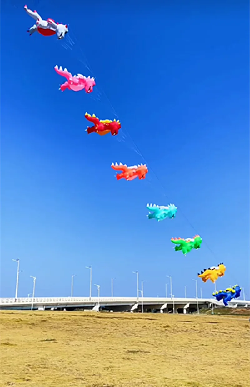 Drachendrachen Volantines o Cometas Gelblasters Riesendrachen Papagaio de Vento Praia Windsurfen Drachen fliegender Sportdrachen Vlieger – Detail 3