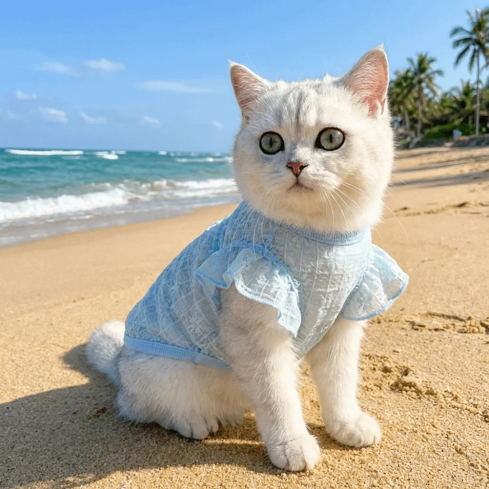 얇은 메쉬 개 쿨링 조끼 통기성 자외선 차단 고양이 자외선 차단 조끼 D-링 디자인 꽃무늬 개 여름옷