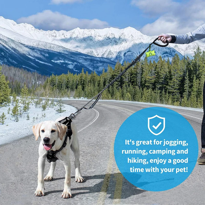 Heavy Duty Dog Leash with Car Harness and Comfortable Padded Handle and Highly Reflective - PeticaDeals