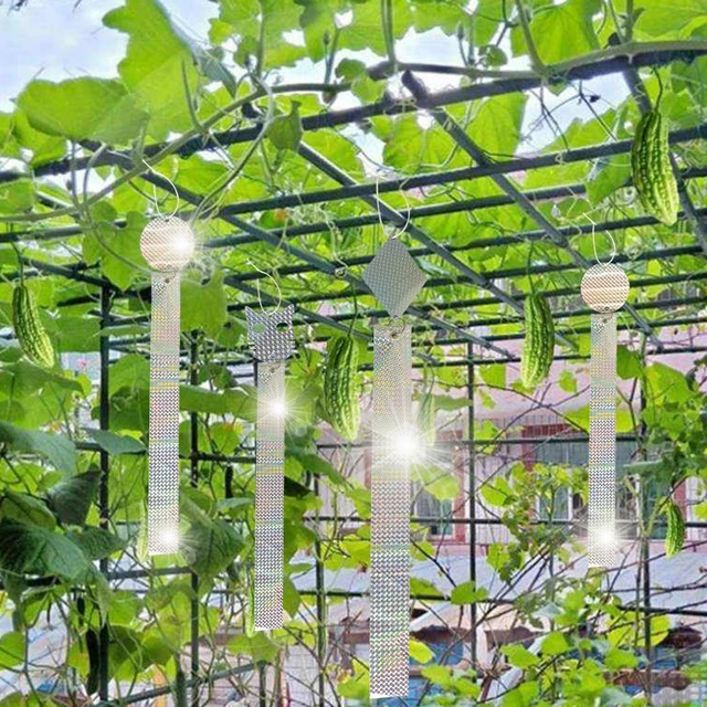 Madárgátló Rátahasznos Szalag Lézer Fényvisszaverő Függő Madár Ijesztő Szerszám Erkély Orchard Kerti Madárcsökkentő Kártevőirtó Kontroll - Image 2