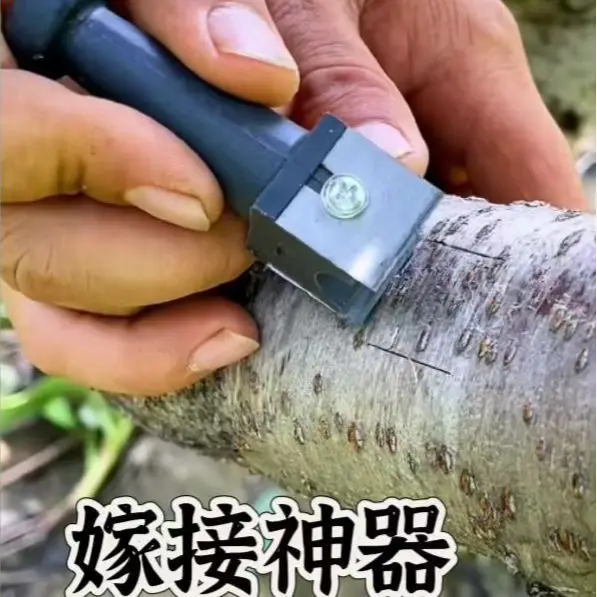 

Garden Branch Grafting Knife Fruit Tree Grafting Tool Pruning Horticultural Grafting Tool Double Knife Knife Garden Tools